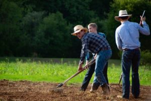 PPP Loans and Farmers Using Labor Contractors – Fresno CPA